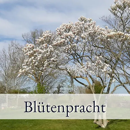 Hirschfeld Hus Whg 1 Apartment Sulsdorf auf Fehmarn