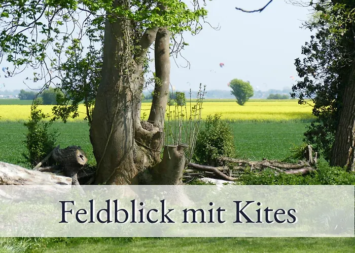 Hirschfeld Hus Whg 1 Apartment Sulsdorf auf Fehmarn