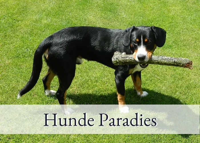 Hirschfeld Hus Whg 1 * Sulsdorf auf Fehmarn