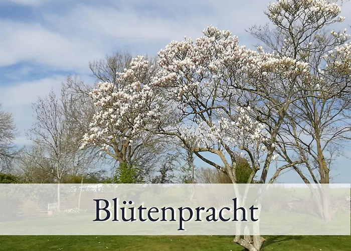 Hirschfeld Hus Whg 1 Apartment Sulsdorf auf Fehmarn